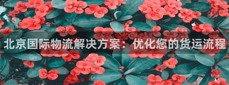 欢迎来到公海欢迎来到赌船710