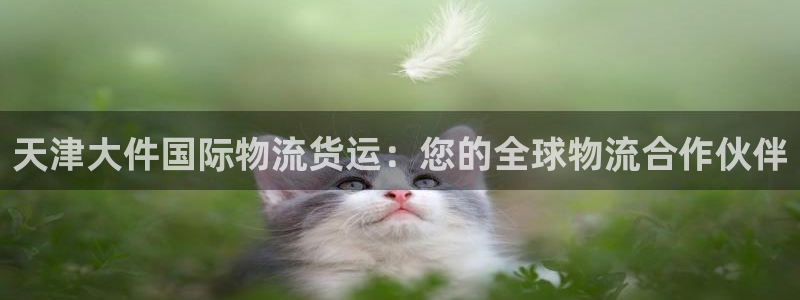 公海赌赌船710检测路线
