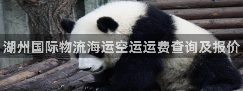 公海赌赌船登录网站