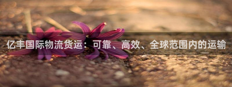 公海赌赌船登录网站