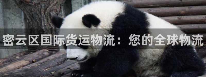 公海赌赌船贵宾会员检测路线