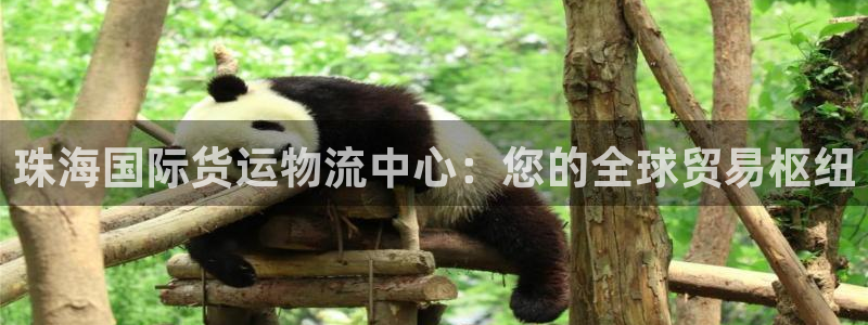 公海赌赌船