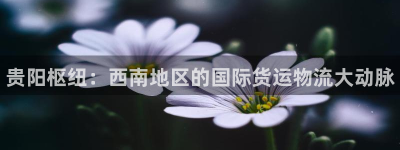 欢迎来到公海欢迎来到赌船