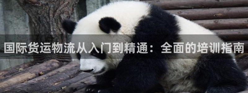欢迎来到公海欢迎来到赌船
