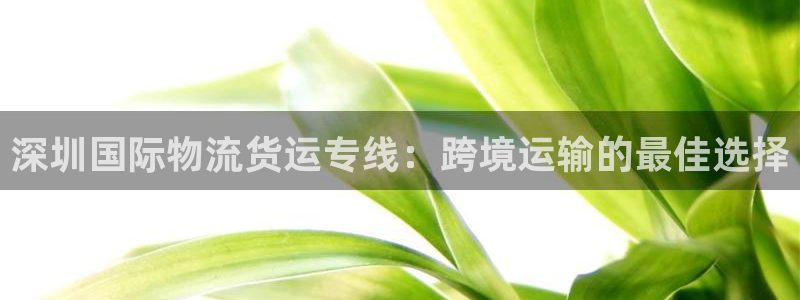 公海赌船