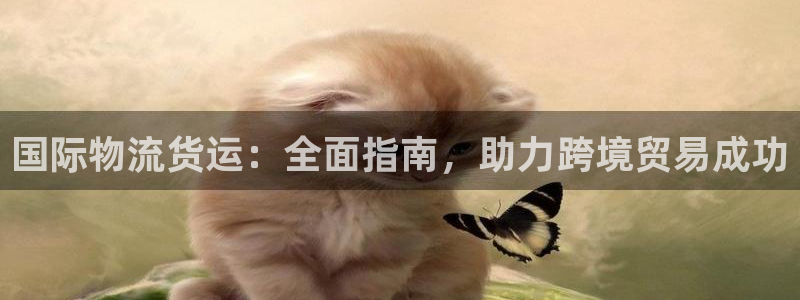 公海gh555000线路检测