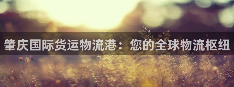 公海gh555000线路检测